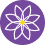 romashka