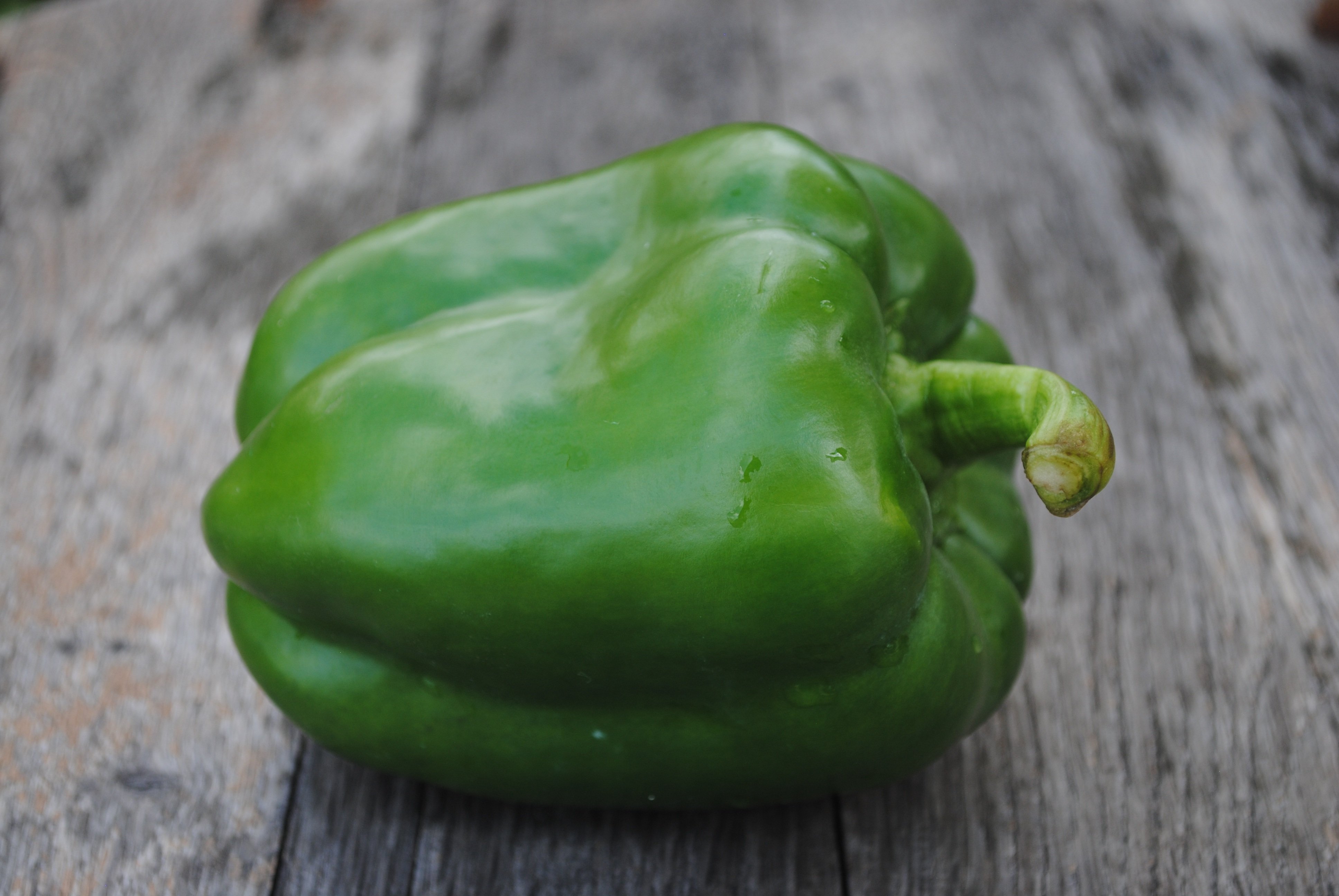 Ценность зеленого болгарского перца – что приготовить с зеленым сладкимперцем – блюда с перцем — Шуба