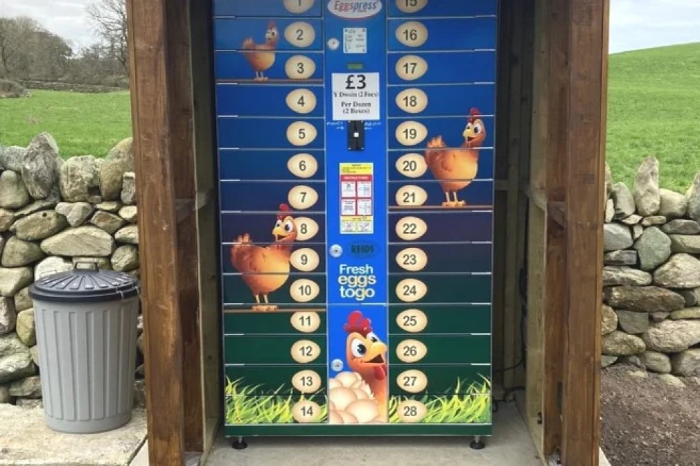 Купити яйця через автомат можна за&nbsp;готівку або сплатити карткою. Фото: www.tastingtable.com
