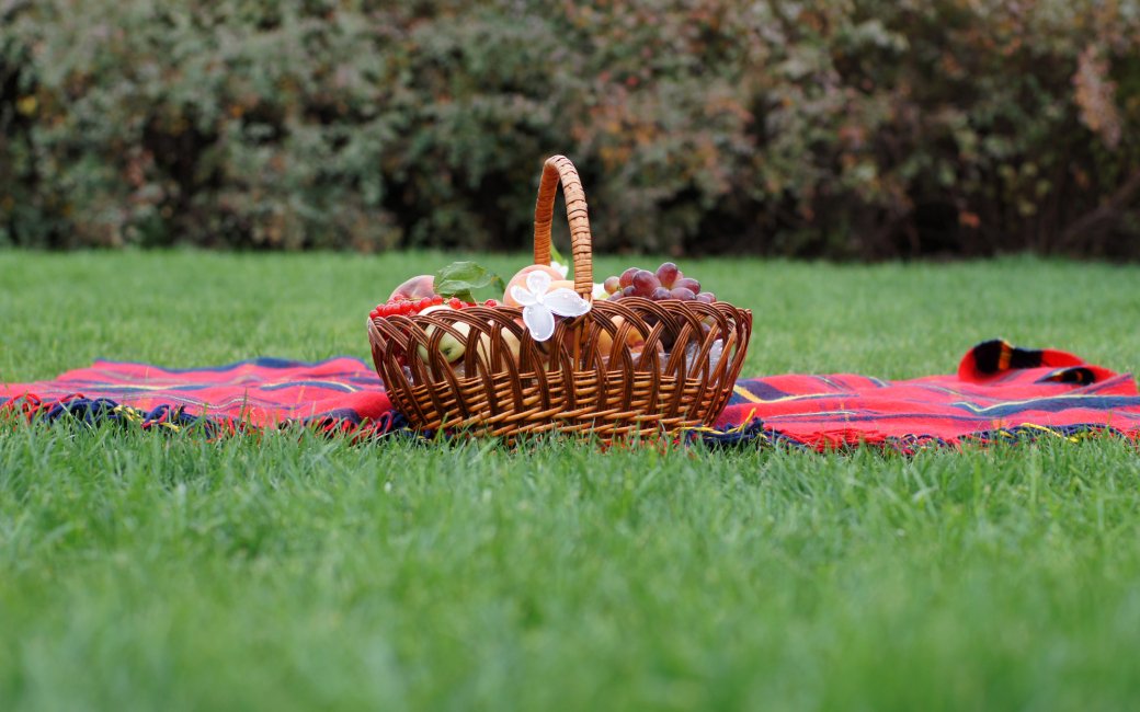 кошик для пікніка на траві