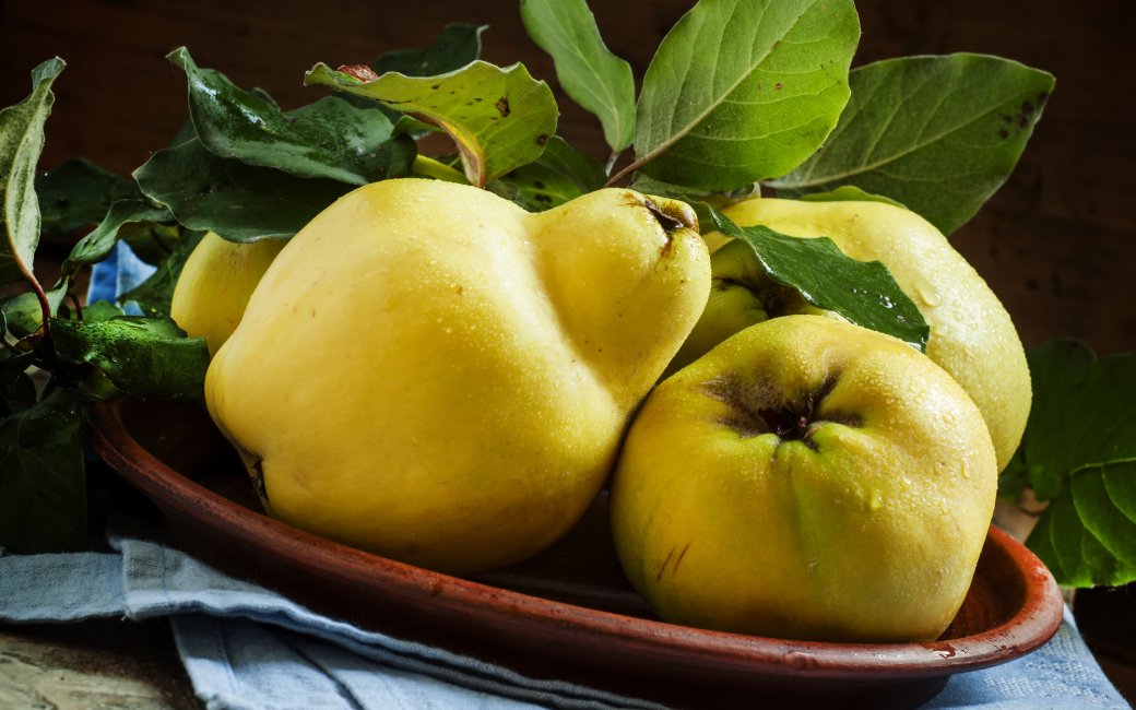 Польза айвы: как правильно есть, чтобы получить из фрукта максимум