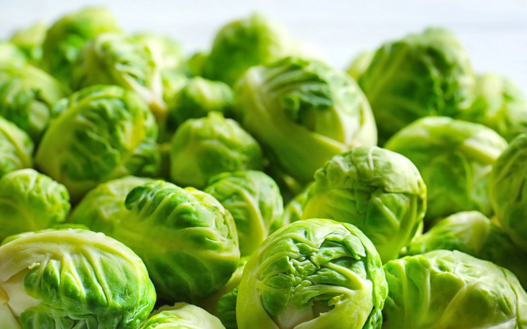 Брюссельська капуста