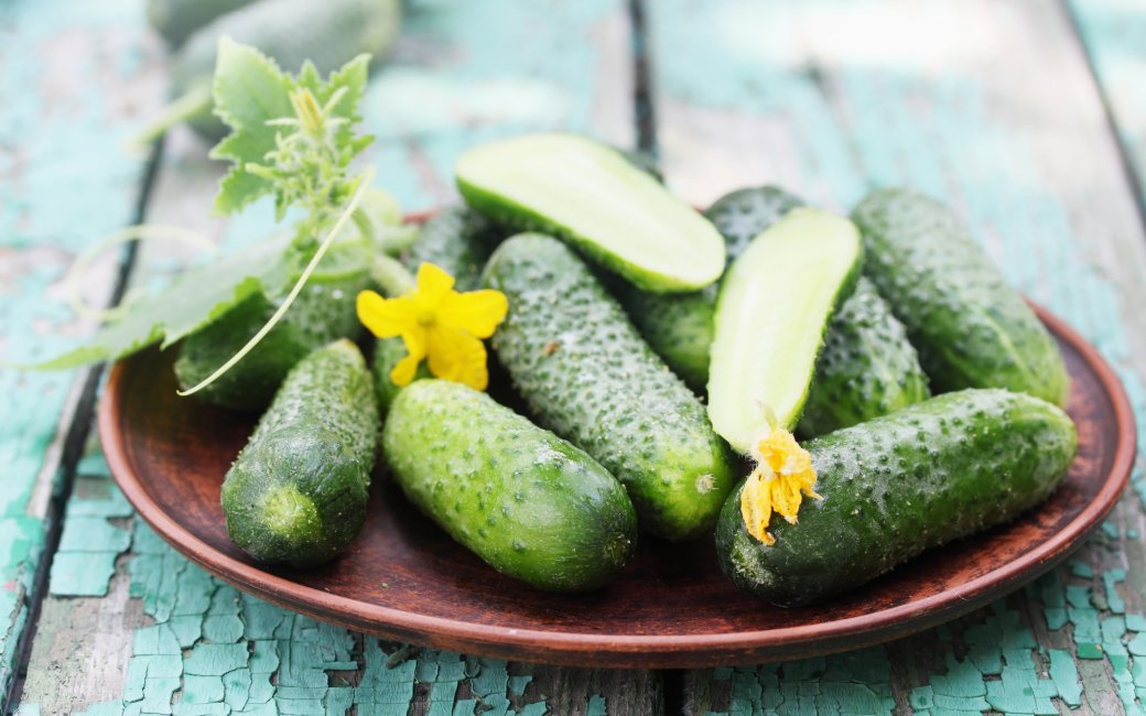 свіжі огірки