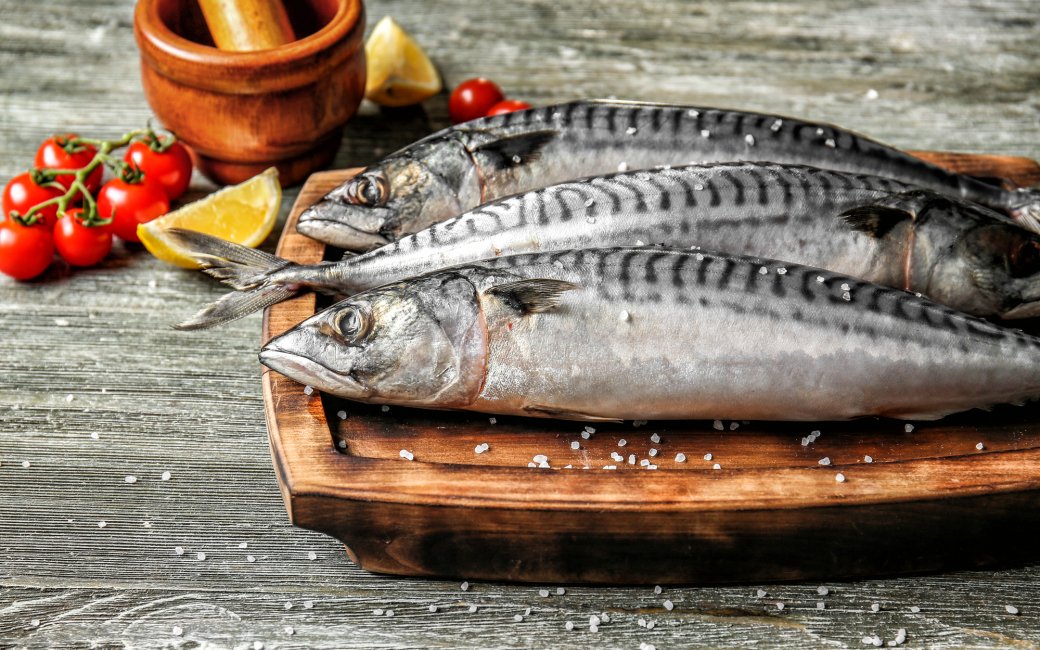 скумбрія свіжа
