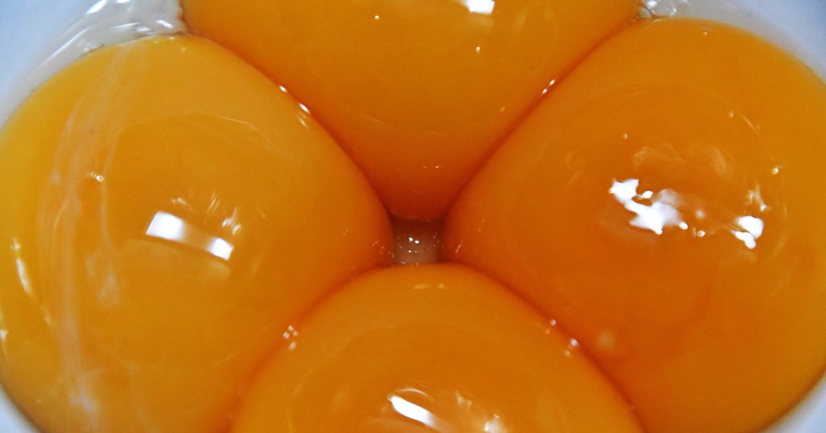 Использование яичных желтков – что приготовить из желтками – блюда с яйцами — Шуба