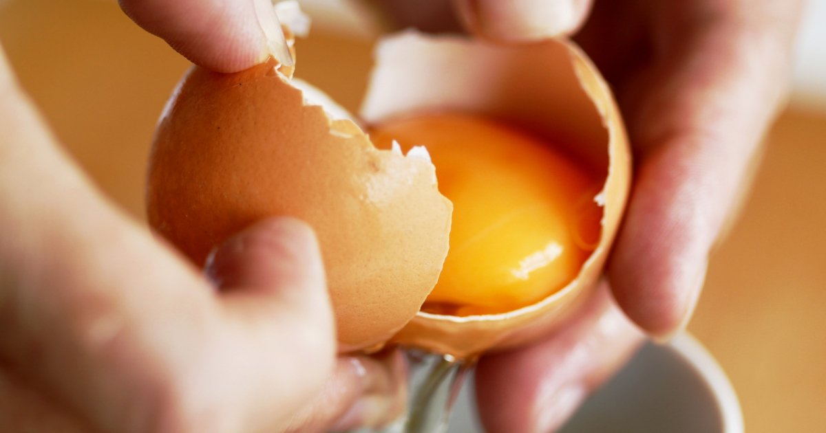 Почему в куриных яйцах бывает кровь