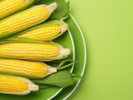 Як смачно зварити молоду кукурудзу