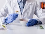 Вчений в синіх рукавичках з рослиною в руках