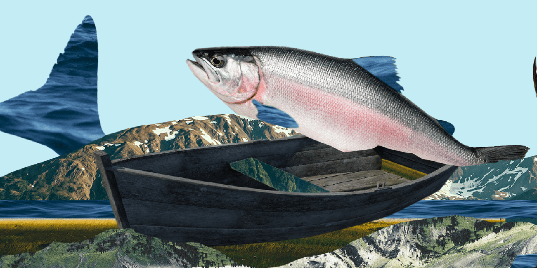 Риба дикого вилову