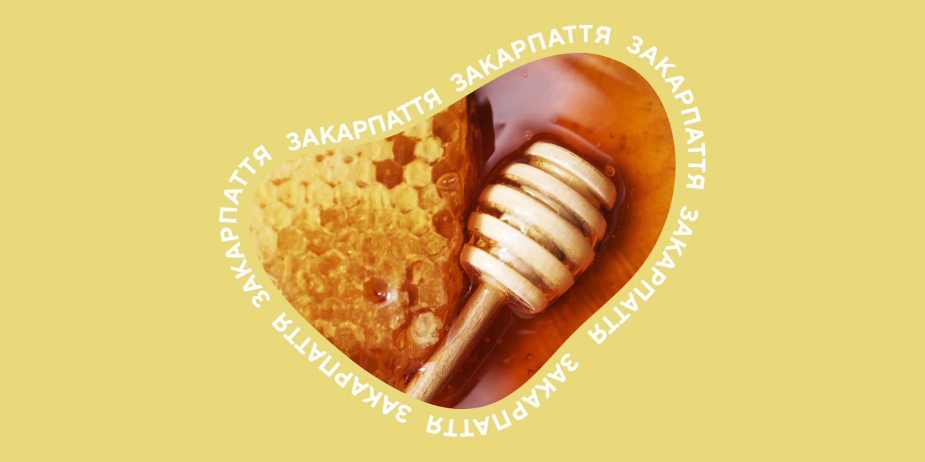 меди Закарпаття меди Закарпаття