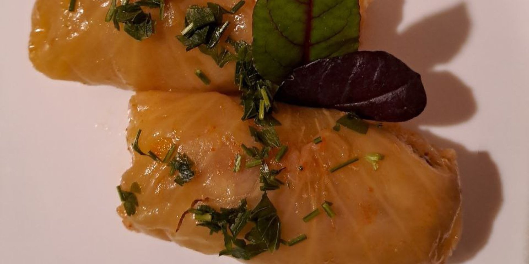 Голубці домашні