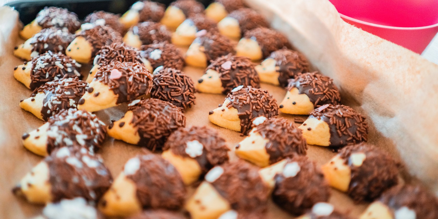 Печиво «Їжачки»