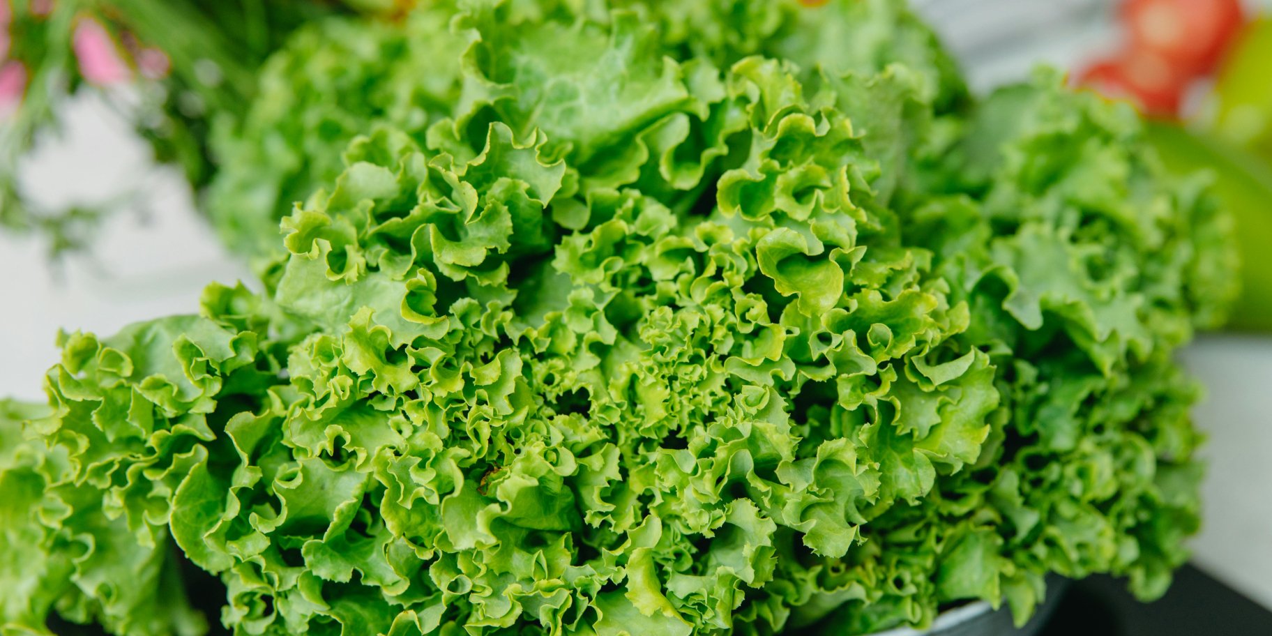 Фолієва кислота в їжі