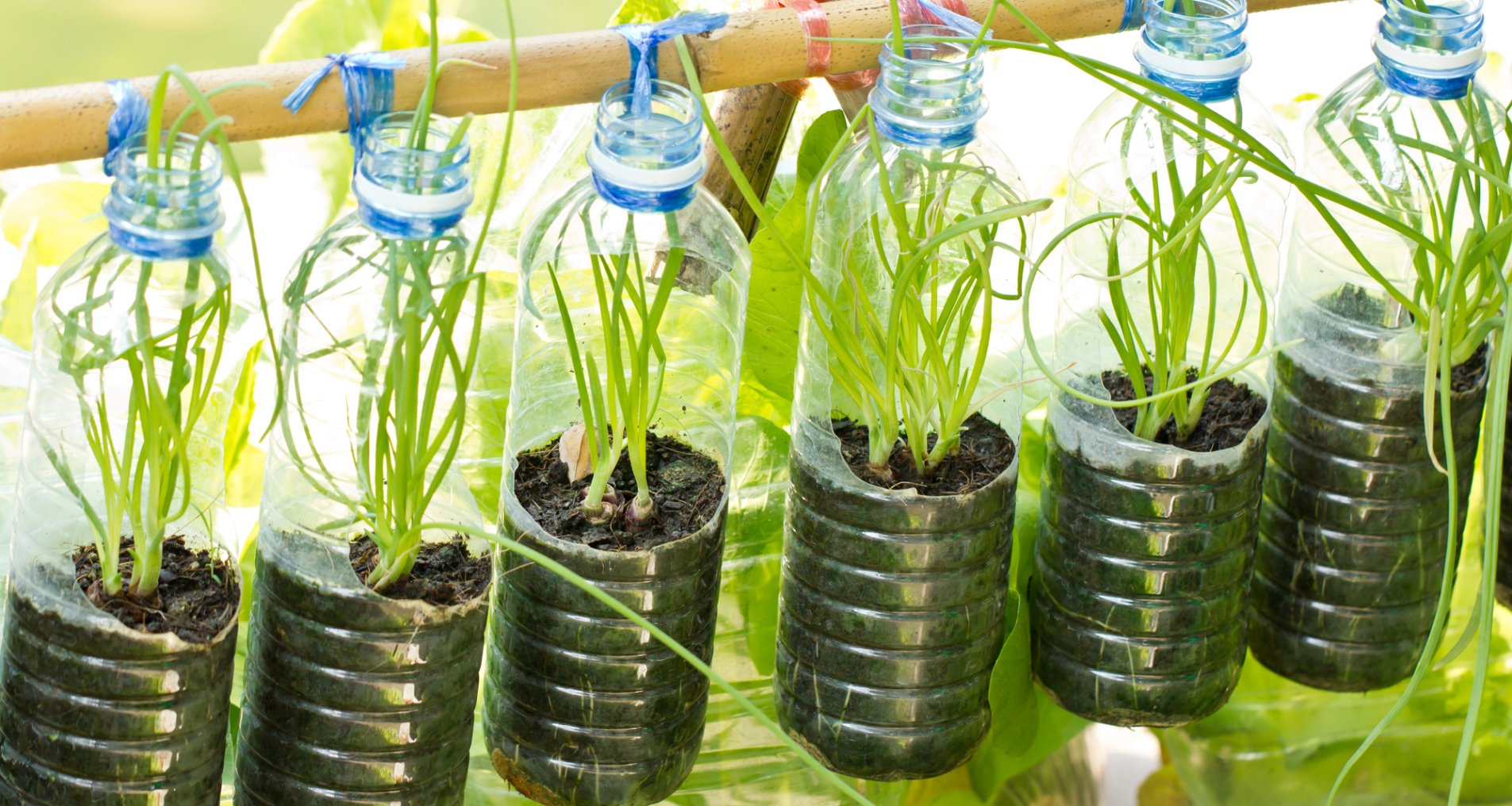 Создаем поделки из пластиковых бутылок для сада и дачи своими руками