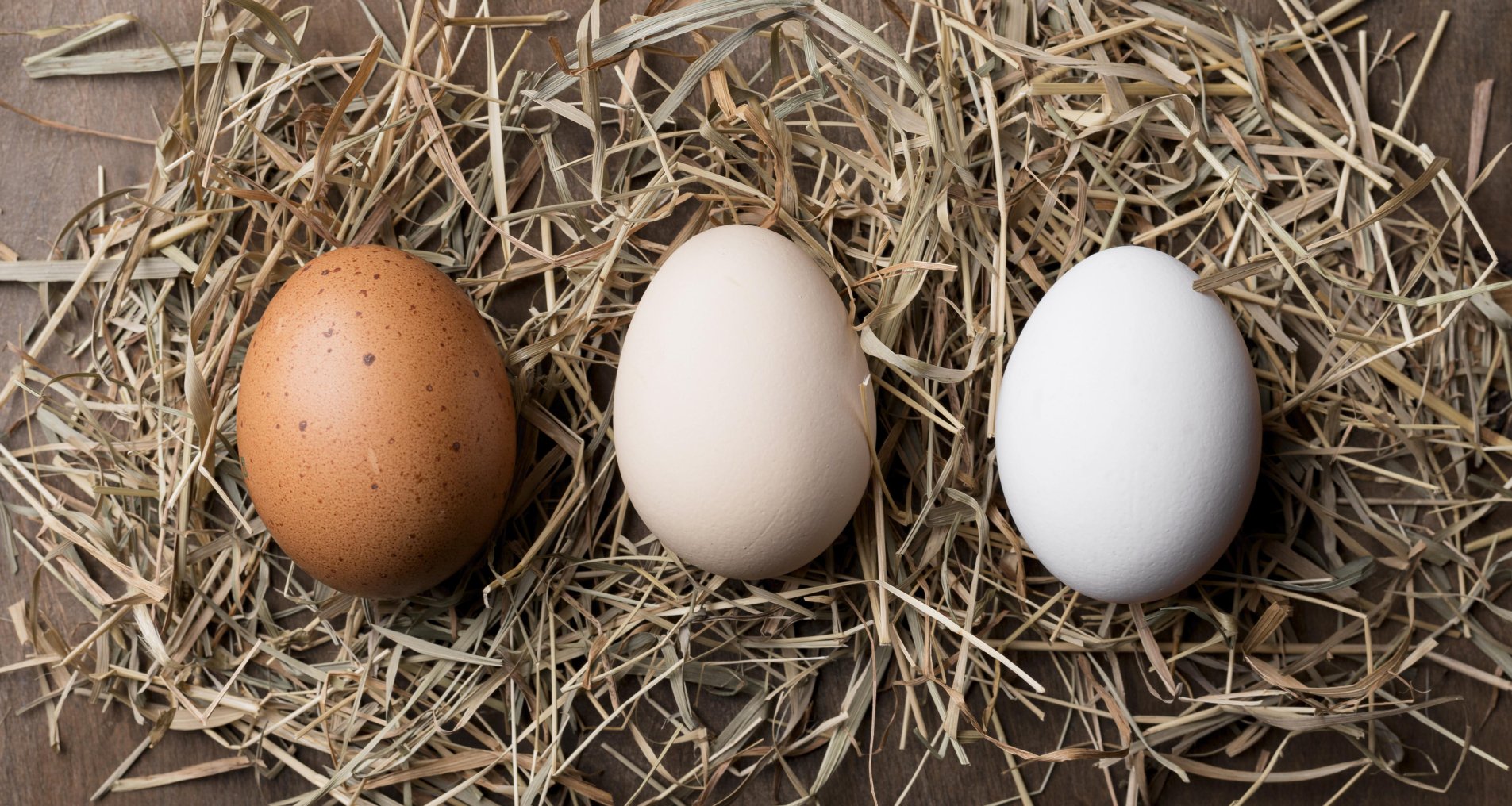 Нужно ли мыть яйца перед приготовлением блюд?
