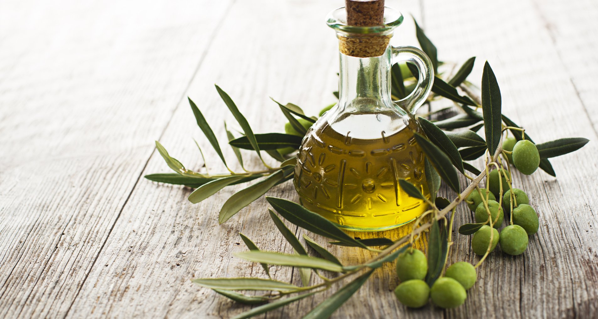 Оливковое масло и ветвь