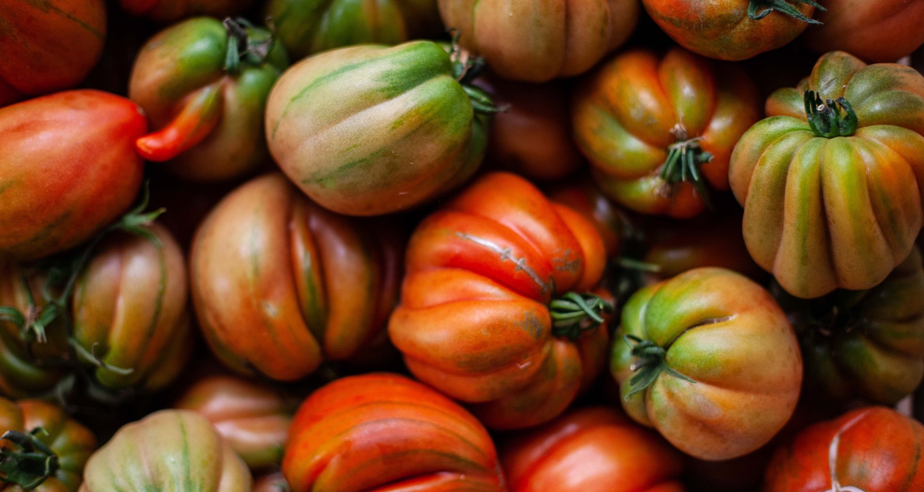 томати помідори