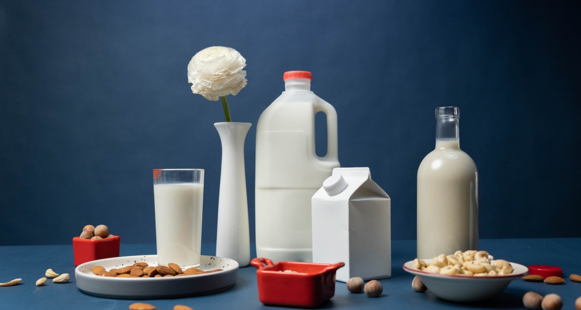 10 популярных видов растительного молока: полезные свойства и особенности