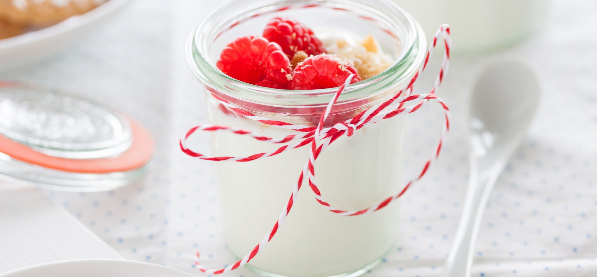 Домашний йогурт без йогуртницы, пошаговый рецепт на ккал, фото, ингредиенты - Какава