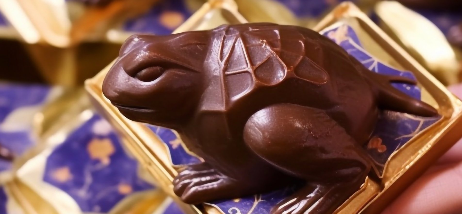 Шоколадные лягушки. Кадр из фильма