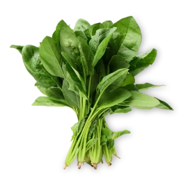 Щавель відбірний, 100г