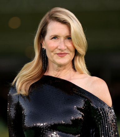 Акторка Лора Дерн/instagram.com/lauradern/