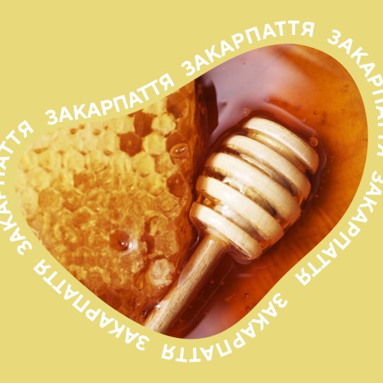 меди Закарпаття