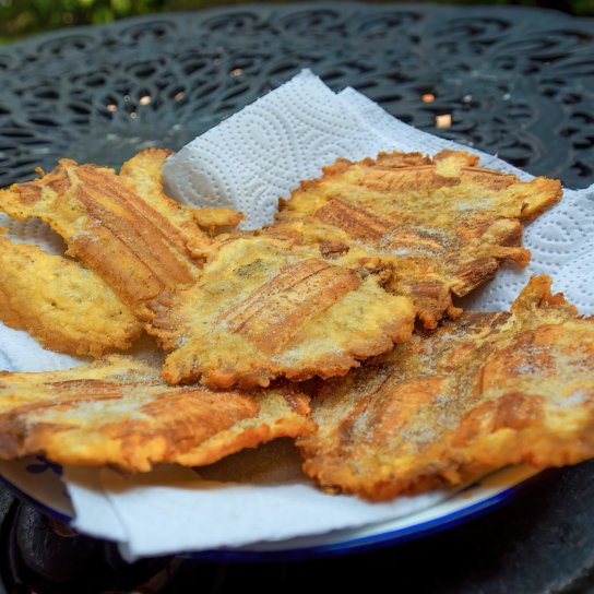 битки из тюльки