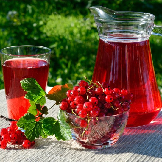 Морс із порічки