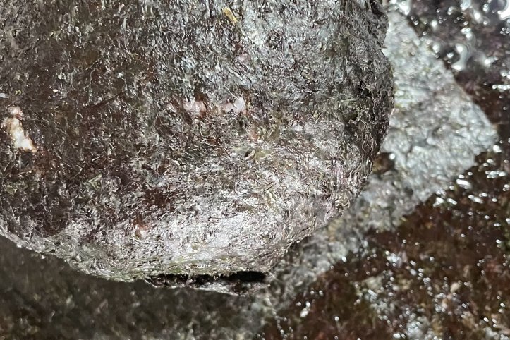 Формування