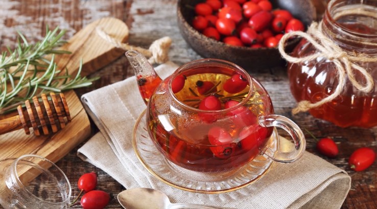 Відвар шипшини