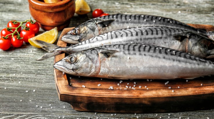 скумбрія свіжа