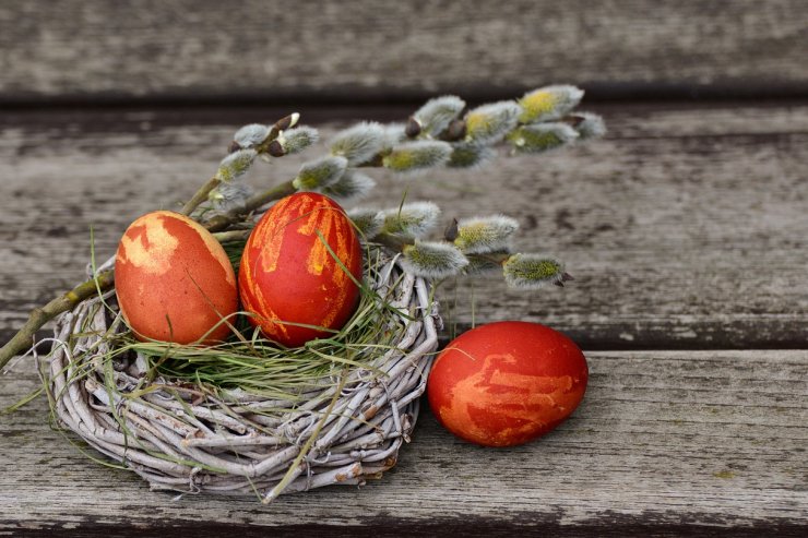Скільки шкоди завдають яйця: міфи та факти