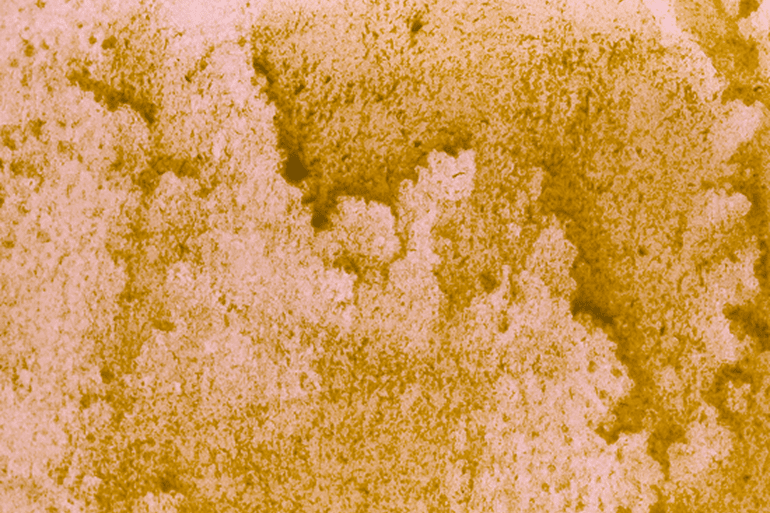 Як відбувається процес бродіння