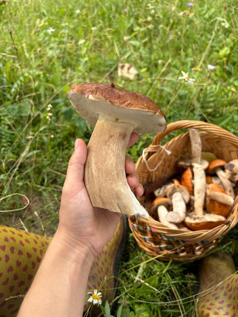 Природа стала одним із&nbsp;ресурсів для Анни