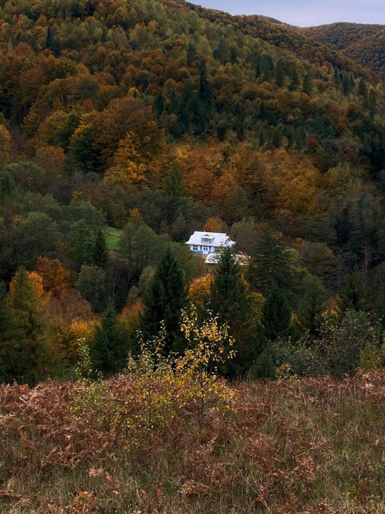 Будинок Анни