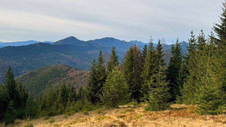 Краєвид з гори Ягідна